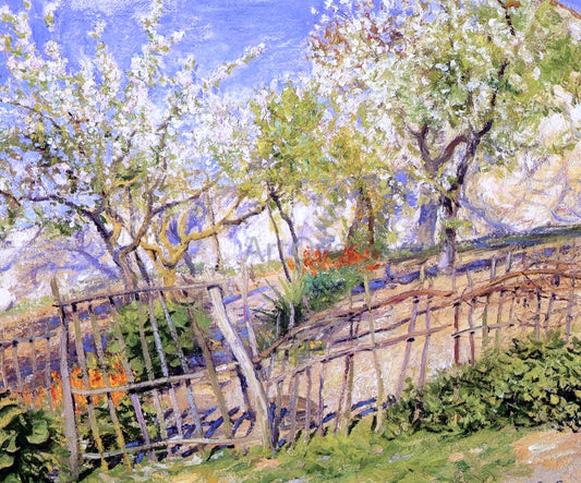  Guy Orlando Rose Blossoms and Wallflowers - Hand Painted Oil Painting