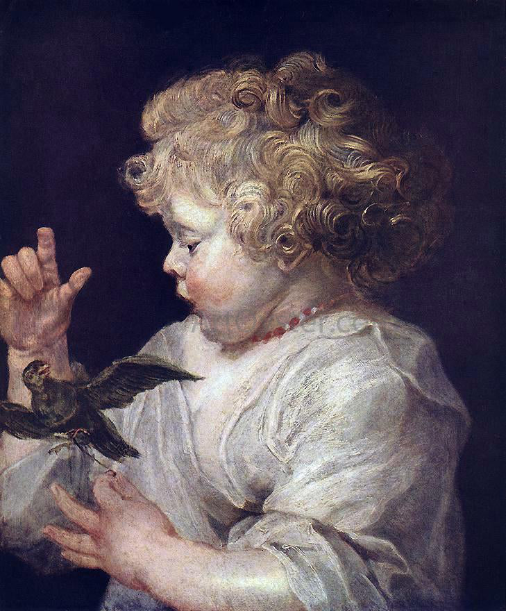  Peter Paul Rubens Boy with Bird - Hand Painted Oil Painting