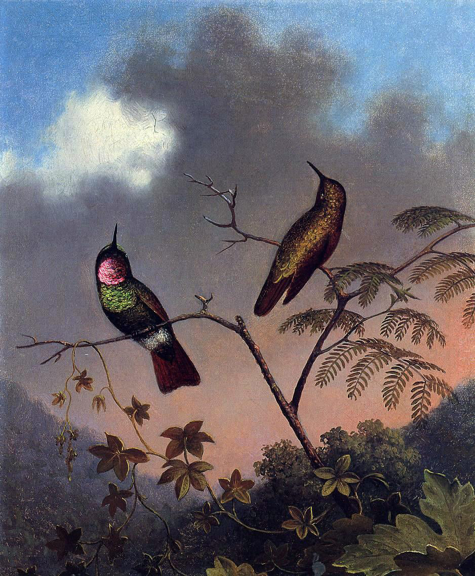  Martin Johnson Heade Brazilian Ruby Hummingbirds - Hand Painted Oil Painting