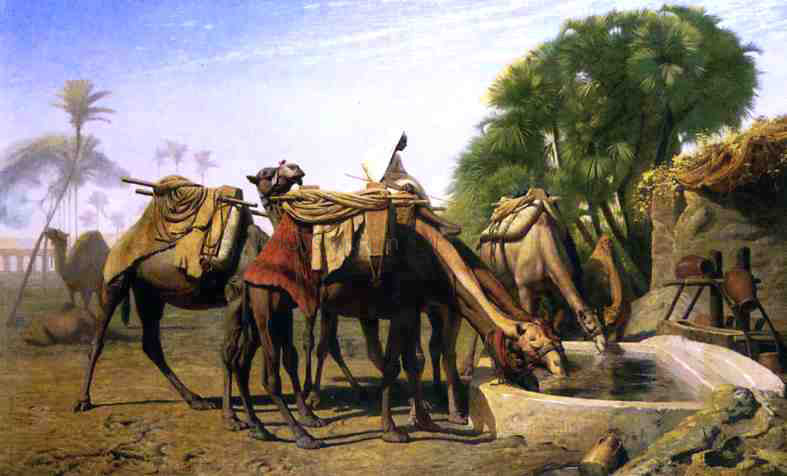  Jean-Leon Gerome Camels at a Watering Trough - Hand Painted Oil Painting