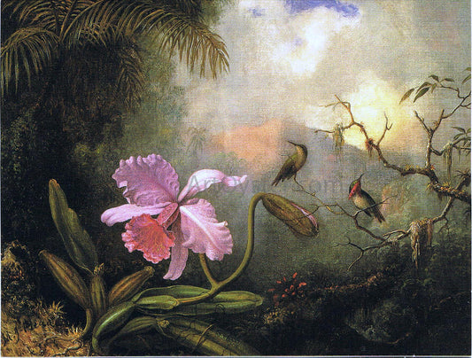  Martin Johnson Heade Carrleya Orchid with Two Hummingbirds - Hand Painted Oil Painting