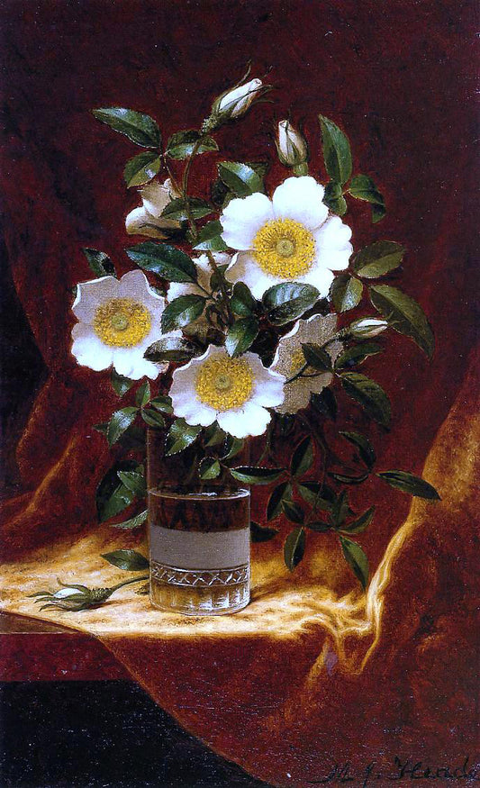  Martin Johnson Heade Cherokee Roses in a Glass - Hand Painted Oil Painting