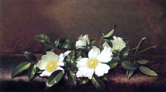  Martin Johnson Heade Cherokee Roses on a Purple Velvet Cloth - Hand Painted Oil Painting