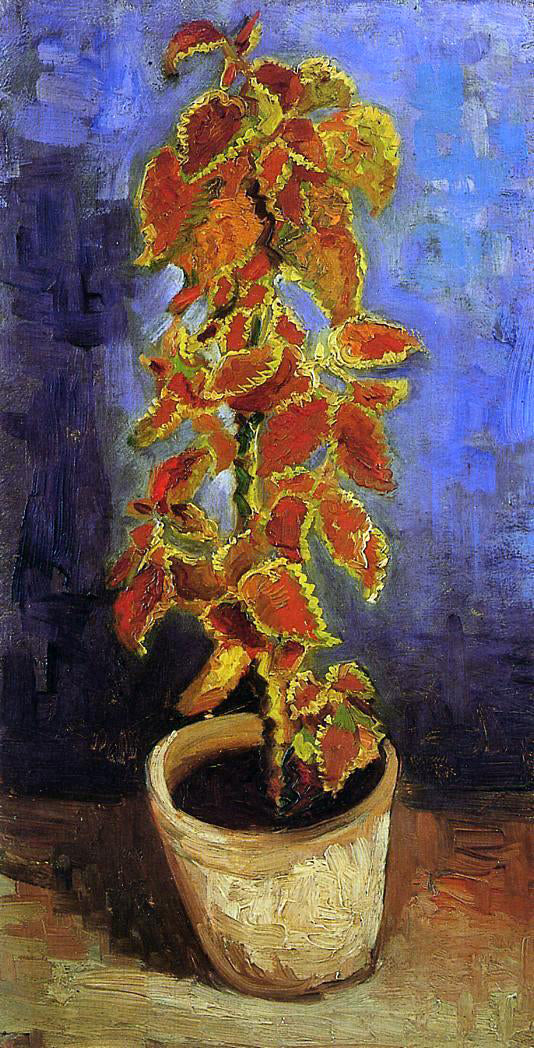  Vincent Van Gogh Coleus Plant in a Flower Pot - Hand Painted Oil Painting