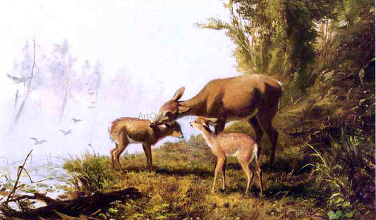  Arthur Fitzwilliam Tait Deer in the Woods - Hand Painted Oil Painting