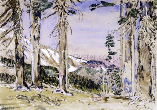  Frederick Childe Hassam End of Timberline, Mt. Hood - Hand Painted Oil Painting