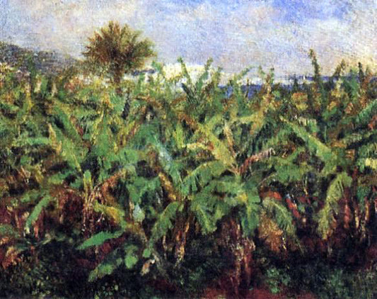  Pierre Auguste Renoir Field of Banana Trees - Hand Painted Oil Painting