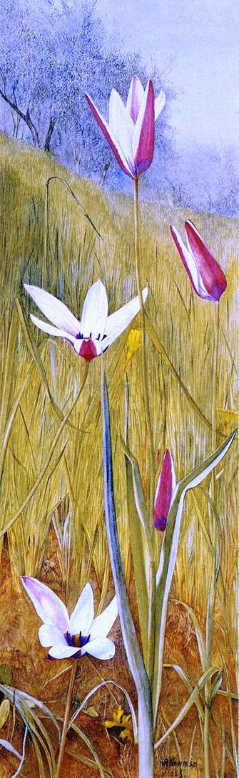  Henry Roderick Newman Flowers in a Landscape - Hand Painted Oil Painting