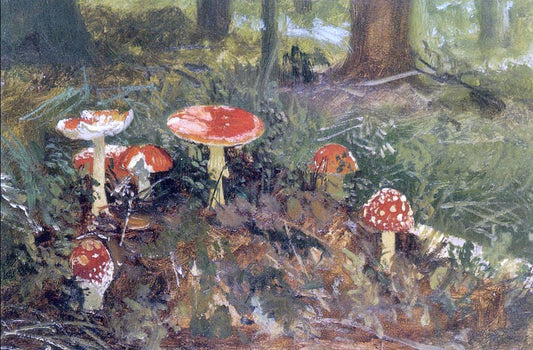  Ivan Ivanovich Shishkin Fly agarics (etude) - Hand Painted Oil Painting