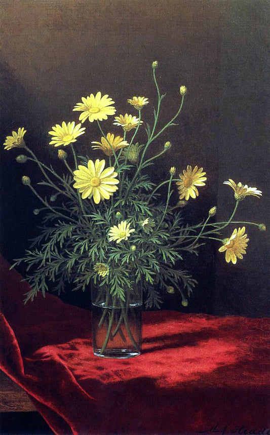  Martin Johnson Heade Golden Marguerites - Hand Painted Oil Painting