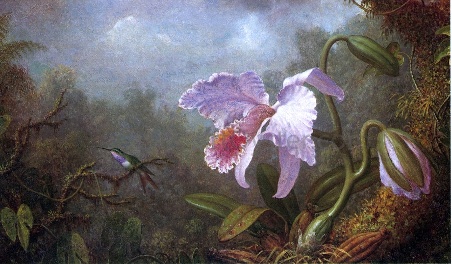  Martin Johnson Heade Hummingbird and Orchid - Hand Painted Oil Painting