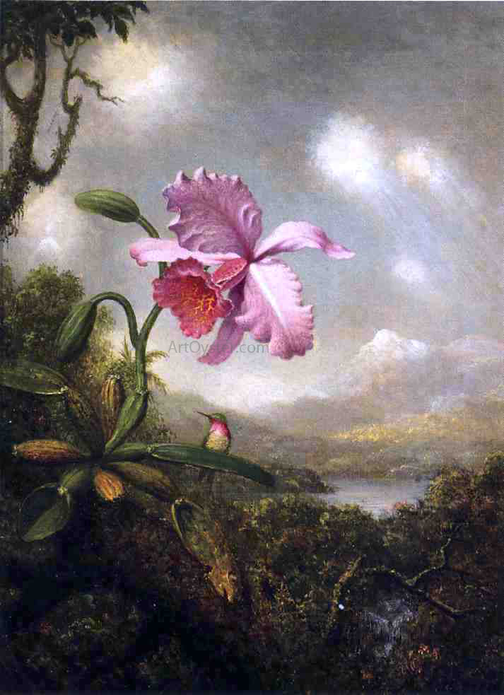  Martin Johnson Heade Hummingbird and Orchid: Sun Breaking Through the Clouds - Hand Painted Oil Painting