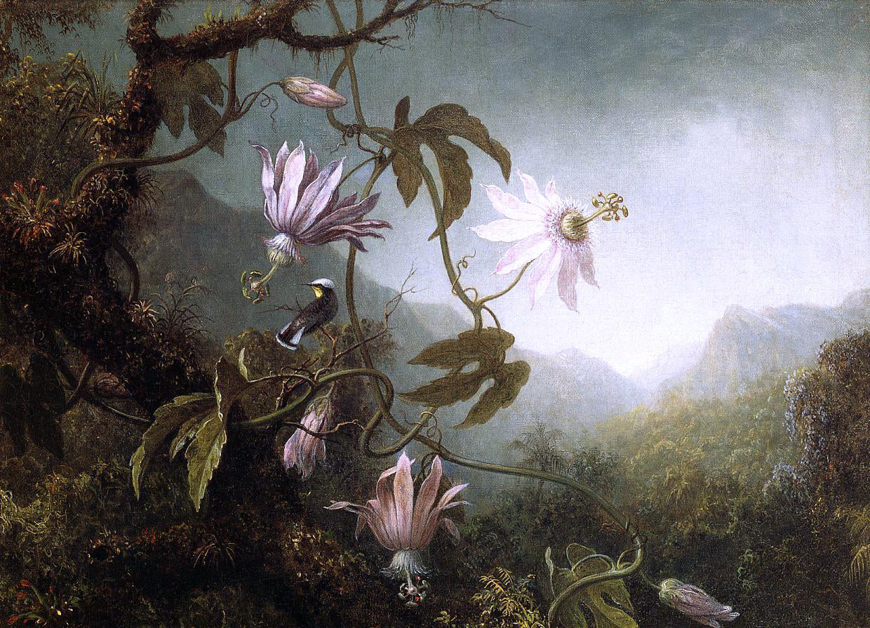  Martin Johnson Heade Hummingbird Perched near Passion Flowers - Hand Painted Oil Painting
