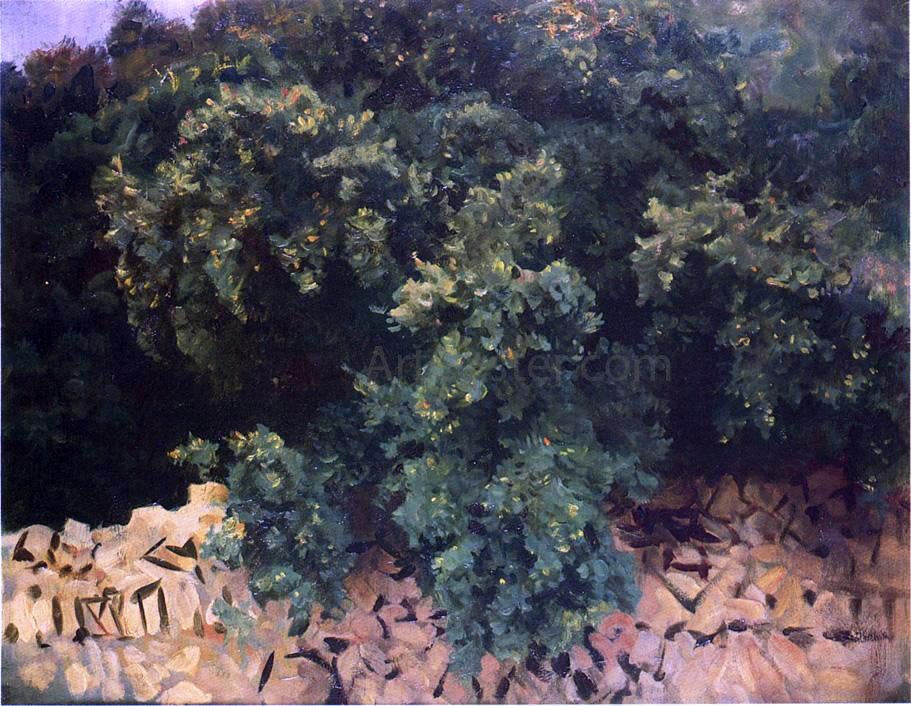  John Singer Sargent Ilex Wood, Majorca - Hand Painted Oil Painting