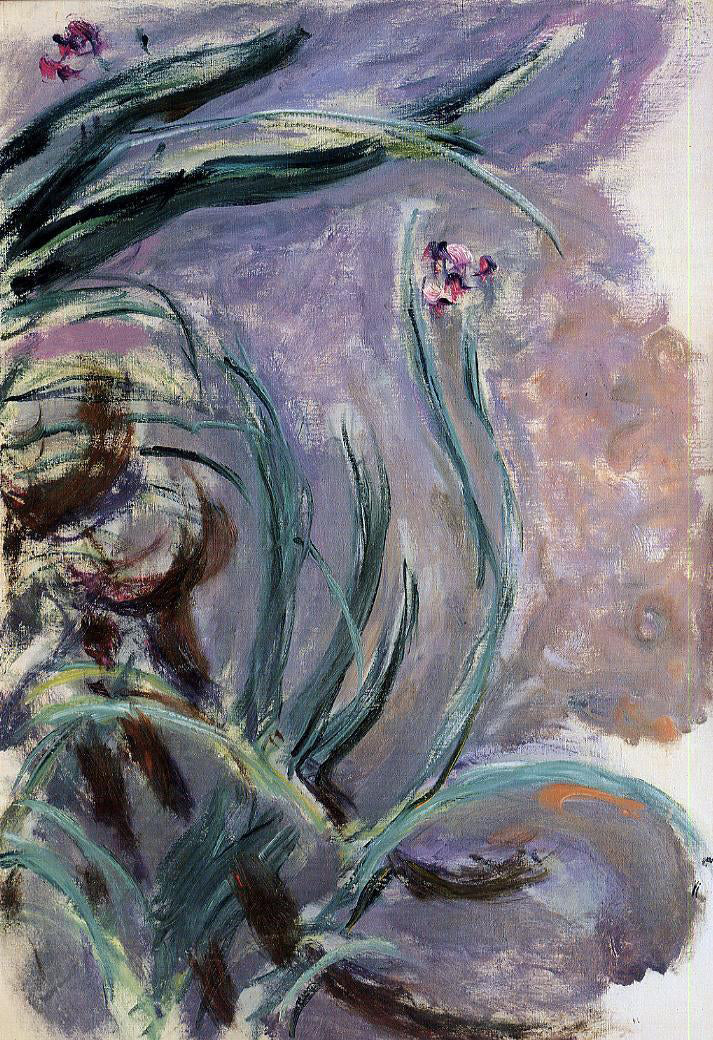  Claude Oscar Monet Irises - Hand Painted Oil Painting