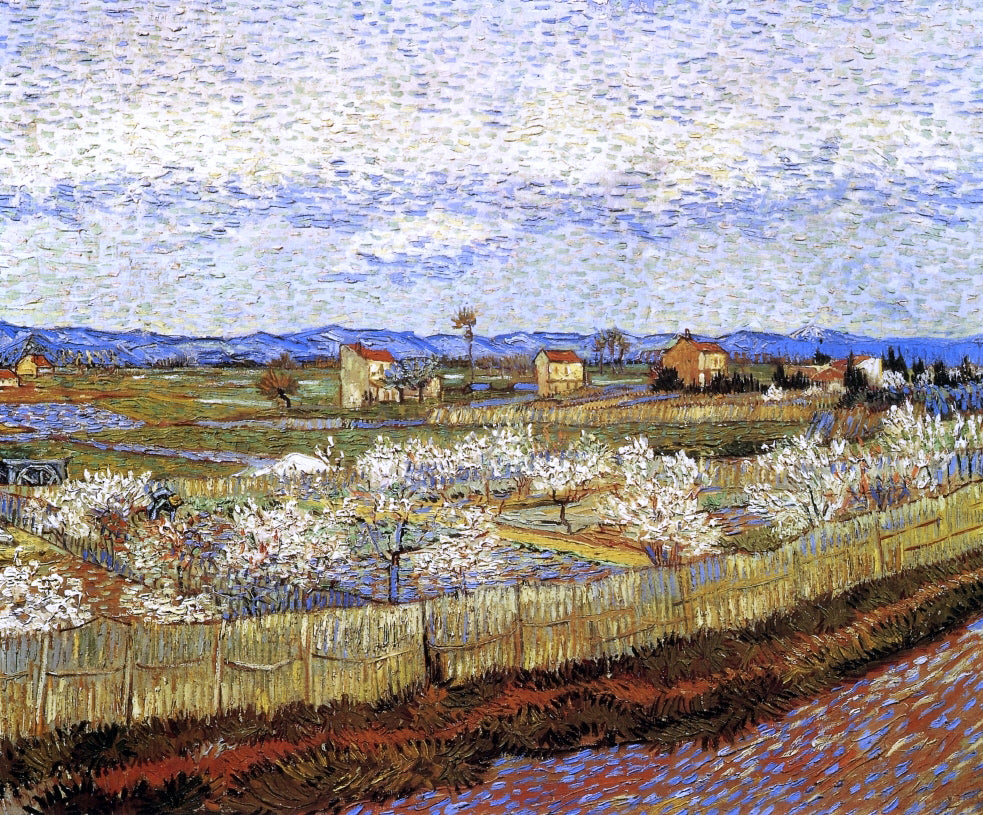  Vincent Van Gogh La Crau with Peach Trees in Bloom - Hand Painted Oil Painting
