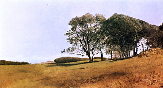  John Frederick Kensett Landscape with Figure - Hand Painted Oil Painting