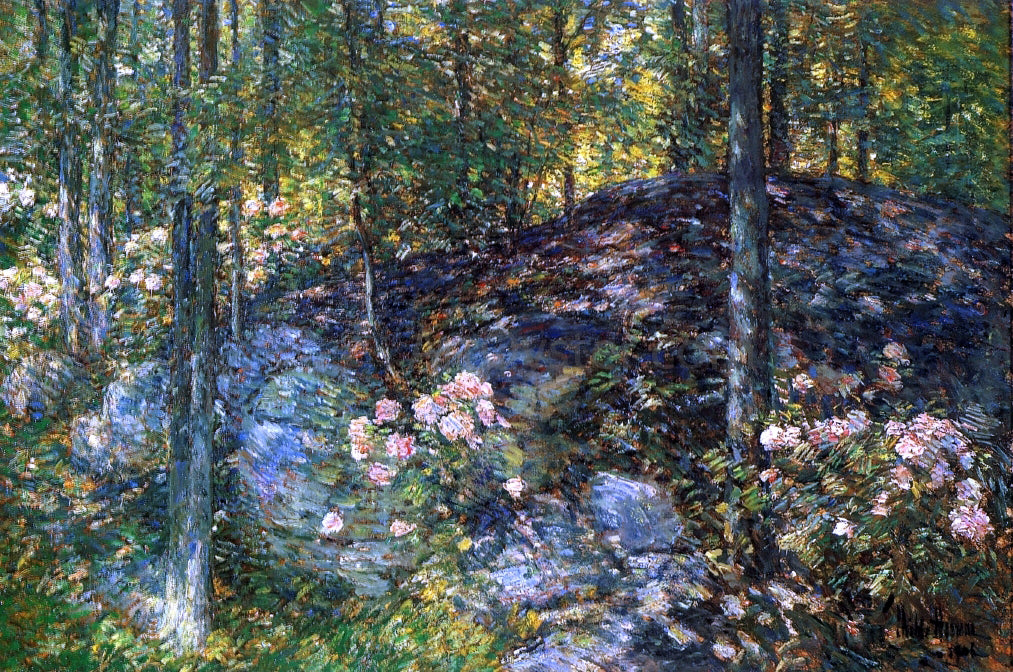  Frederick Childe Hassam Laurel on the Ledges - Hand Painted Oil Painting