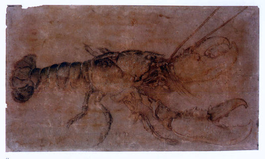  Albrecht Durer Lobster - Hand Painted Oil Painting