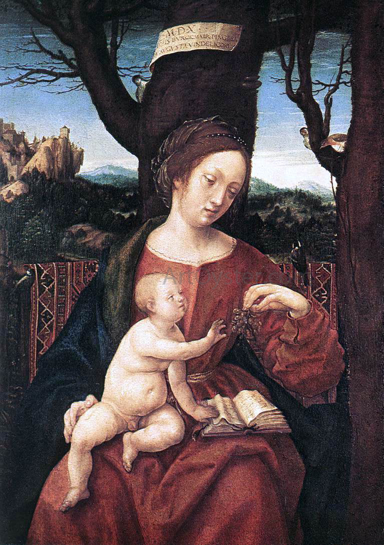  Hans Burgkmair Madonna with Grape - Hand Painted Oil Painting