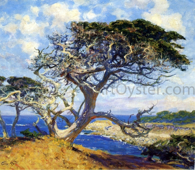 Guy Orlando Rose Monterey Cypress - Hand Painted Oil Painting