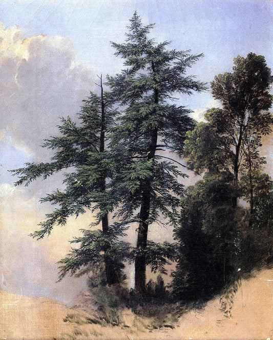  Asher Brown Durand Nature Study, Trees, Newburth, N.Y. - Hand Painted Oil Painting
