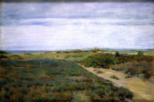  William Merritt Chase Near the Sea (also known as Shinnecock) - Hand Painted Oil Painting