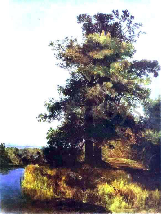  Alexei Kondratevich Savrasov Oaks - Hand Painted Oil Painting