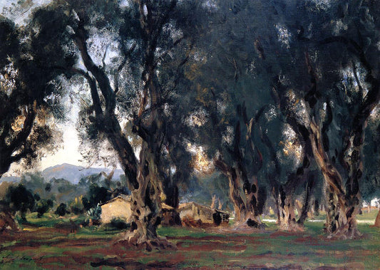  John Singer Sargent Olive Trees at Corfu - Hand Painted Oil Painting