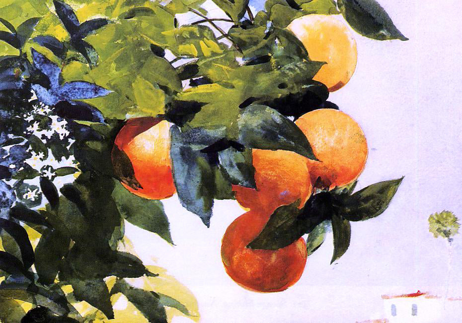  Winslow Homer Oranges on a Branch - Hand Painted Oil Painting