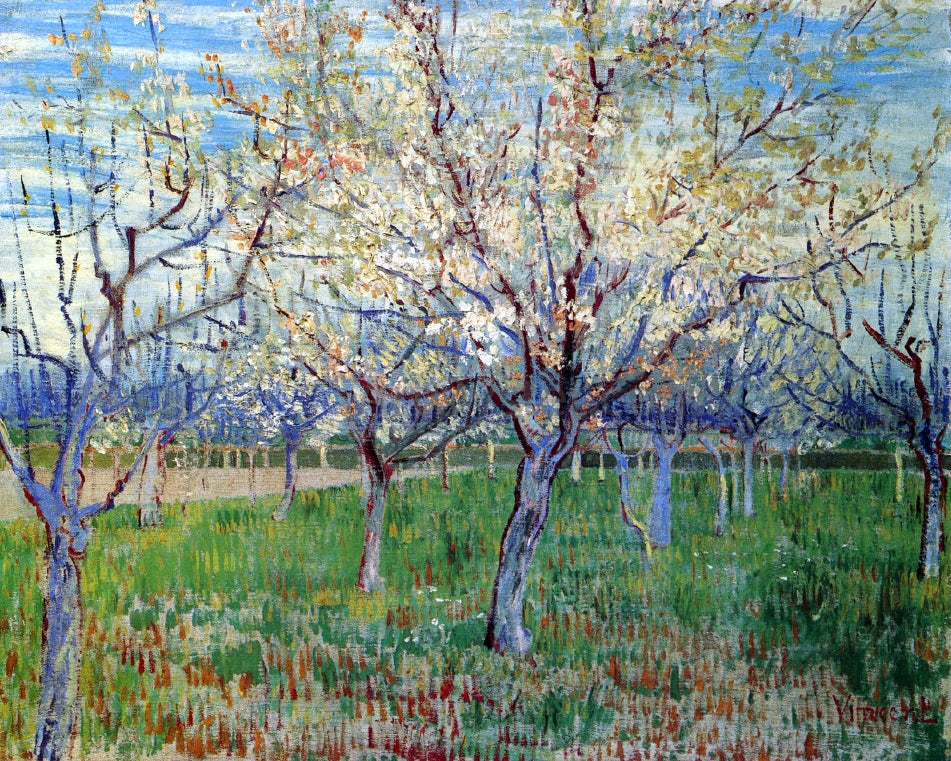  Vincent Van Gogh Orchard with Blossoming Apricot Trees - Hand Painted Oil Painting