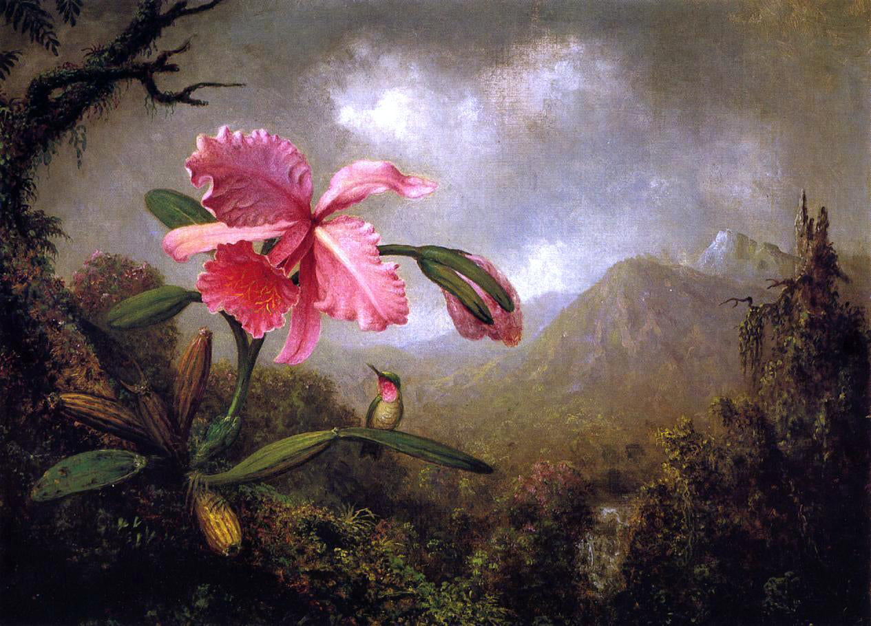 Martin Johnson Heade Orchid and Hummingbird near a Mountain Waterfall - Hand Painted Oil Painting