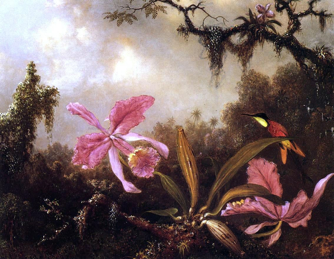  Martin Johnson Heade Orchids and Crimson Topaz Hummingbird - Hand Painted Oil Painting