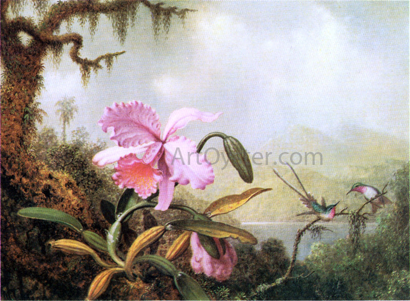  Martin Johnson Heade Orchids and Hummingbirds near a Mountain Lake - Hand Painted Oil Painting