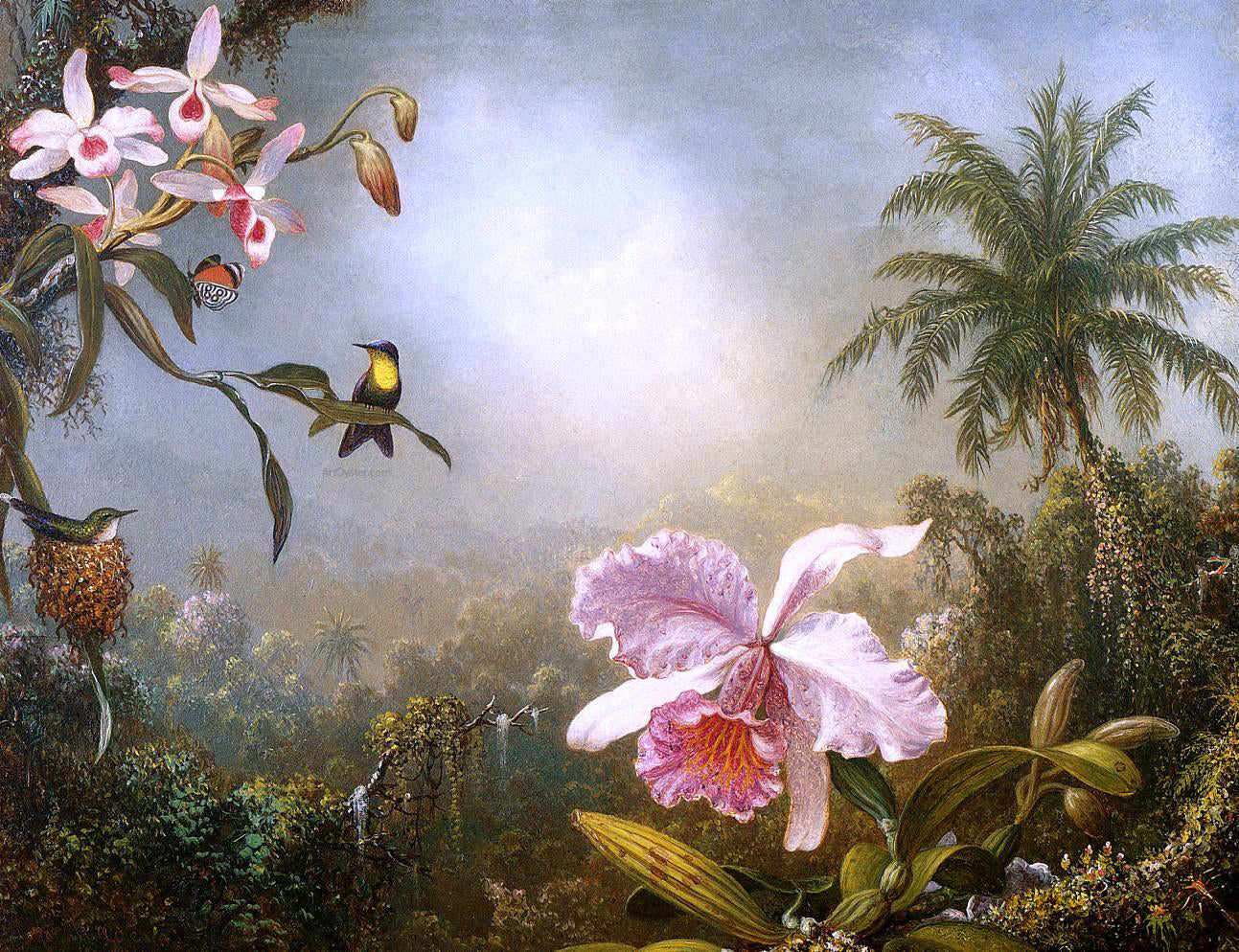  Martin Johnson Heade Orchids, Nesting Hummingbirds and a Butterfly - Hand Painted Oil Painting
