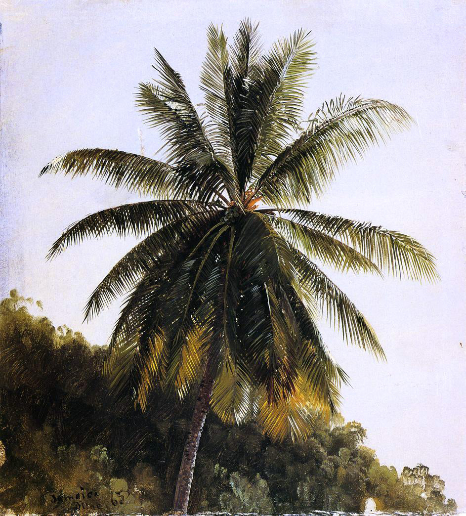  Frederic Edwin Church Palm Trees, West Indies - Hand Painted Oil Painting