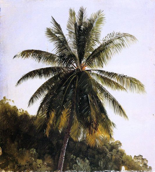  Frederic Edwin Church Palm Trees, West Indies - Hand Painted Oil Painting