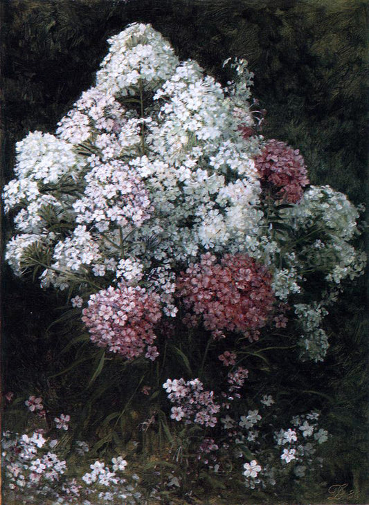  David Johnson Phlox - Hand Painted Oil Painting