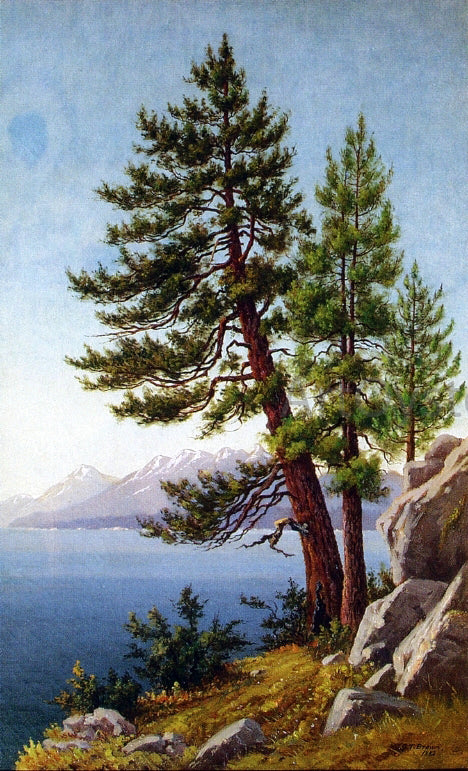  Grafton T Brown Pines, Lake Tahoe - Hand Painted Oil Painting
