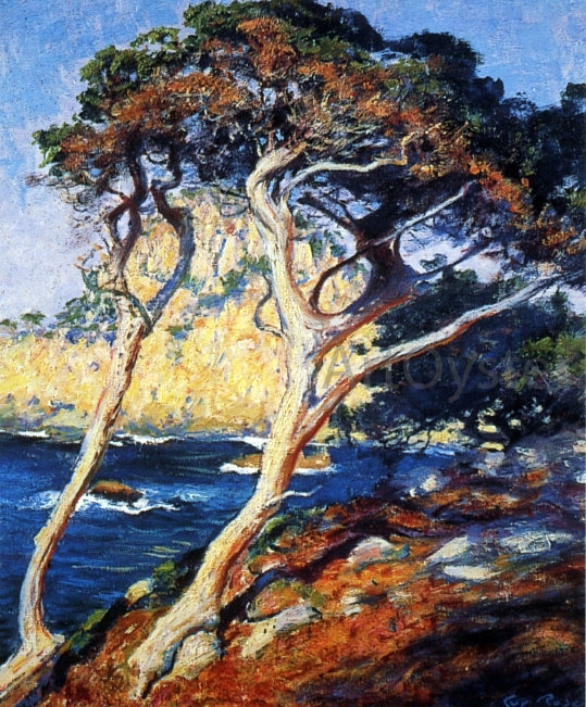  Guy Orlando Rose Point Lobos Trees - Hand Painted Oil Painting