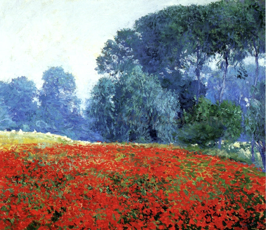  Guy Orlando Rose Poppy Field - Hand Painted Oil Painting
