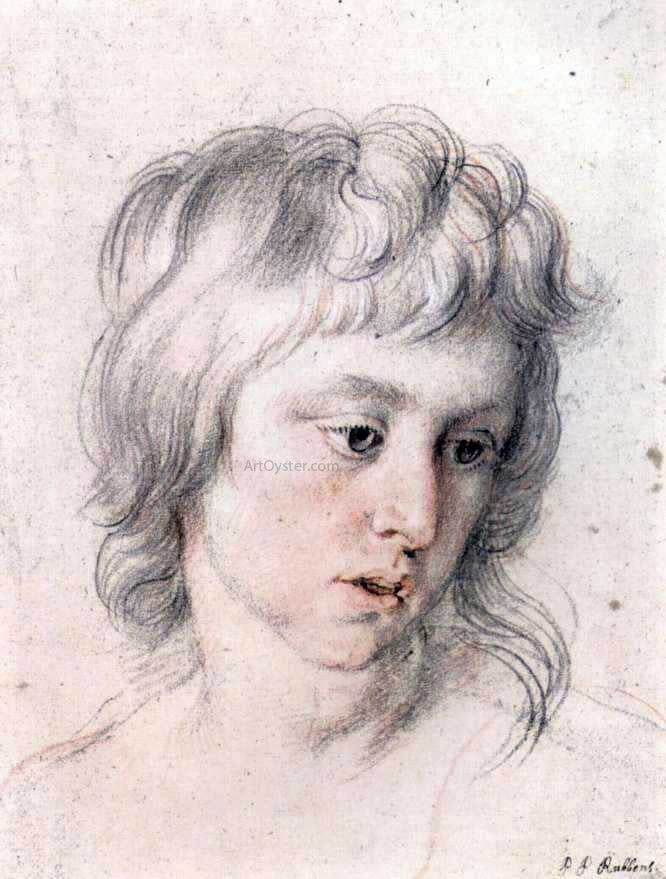  Peter Paul Rubens Portrait of Boy - Hand Painted Oil Painting
