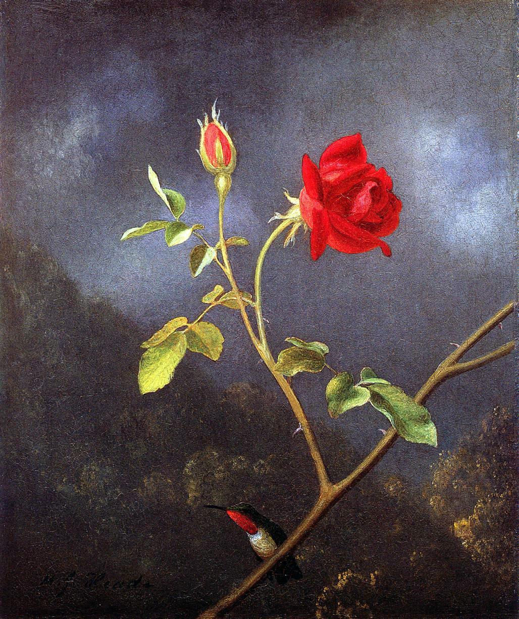  Martin Johnson Heade Red Rose with Ruby Throat - Hand Painted Oil Painting