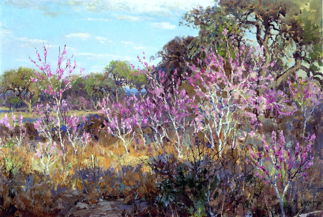  Julian Onderdonk Redbud Tree in Bloom at Leon Springs, San Antonio - Hand Painted Oil Painting
