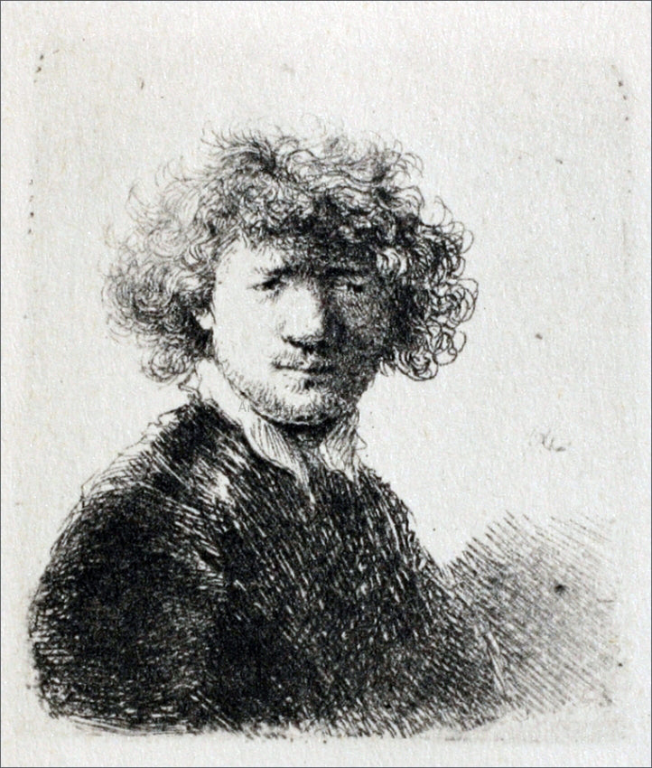  Rembrandt Van Rijn Rembrandt with Bushy Hair and a Small White Collar - Hand Painted Oil Painting