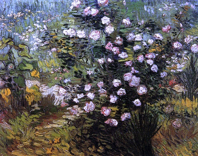  Vincent Van Gogh Rosebush i Blossom - Hand Painted Oil Painting