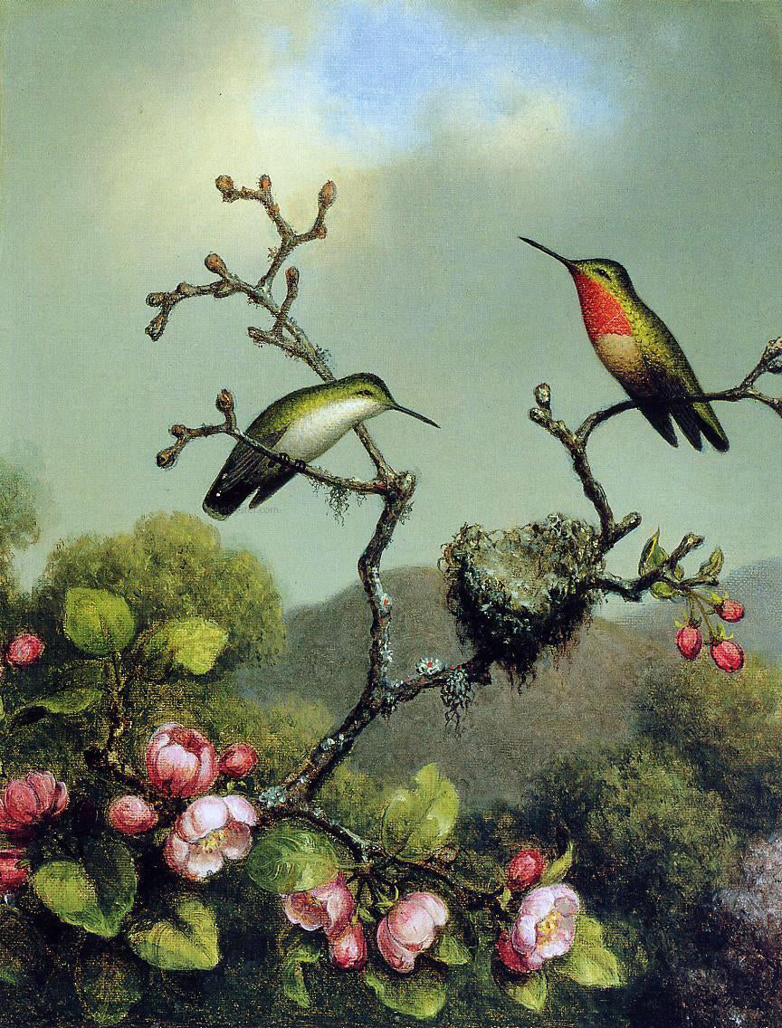  Martin Johnson Heade Ruby Throat of North America - Hand Painted Oil Painting