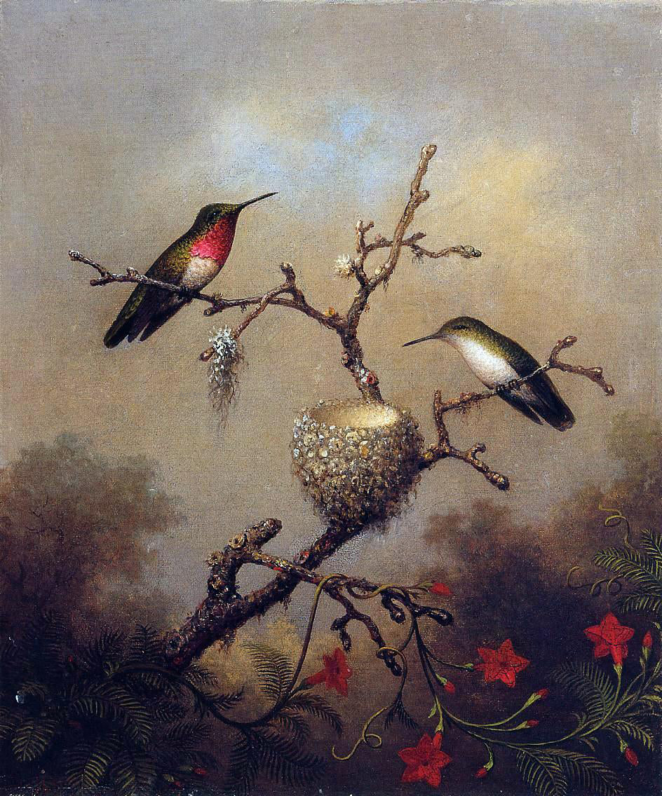  Martin Johnson Heade Ruby-Throated Hummingbird - Hand Painted Oil Painting