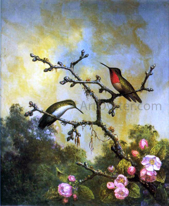  Martin Johnson Heade Ruby-Throated Hummingbirds with Apple Blossoms - Hand Painted Oil Painting