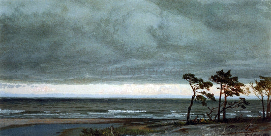  William Trost Richards Seascape with Pines and Overhanging Clouds - Hand Painted Oil Painting